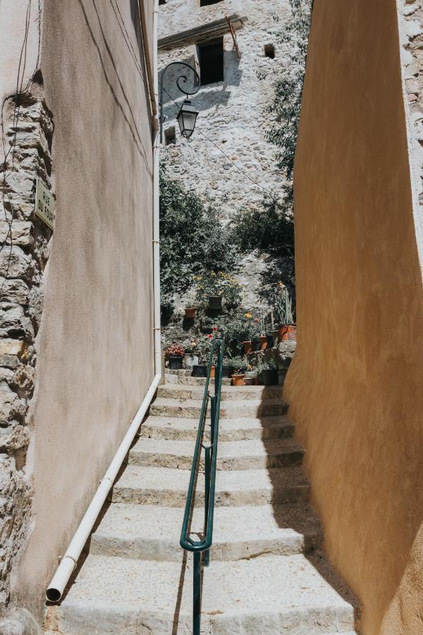 Casa Farniente Appartement Cocooning Provence Verte Montfort-sur-Argens Eksteriør bilde